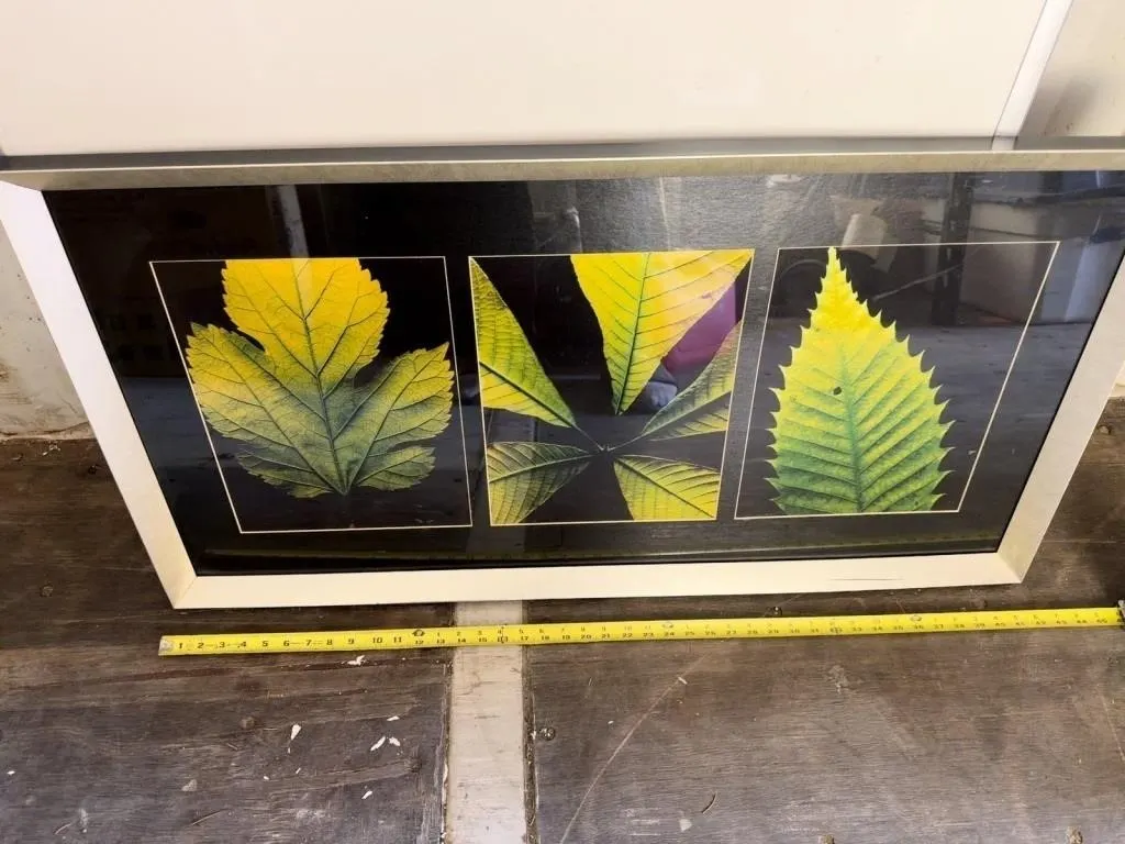 Framed Triptych Leaf Photography Art