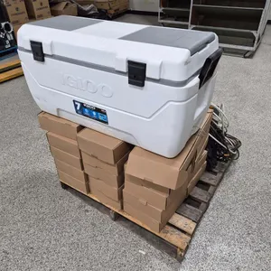 Igloo Cooler, Pressure Washer & PS5 Controller Docks
 UNRESERVED
