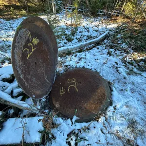 22 inch disc blades