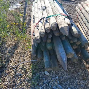 Quantity of 6Ft Fence Posts 3"-4" Diameter