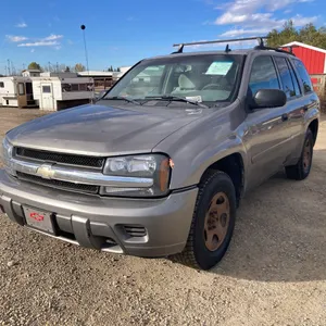 2006 Chev Trailblazer Grey SUV VIN: 1GNDT13SX62108299