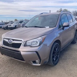 2014 Subaru Forester Gold SUV VIN: JF2SJHLC4EH423295