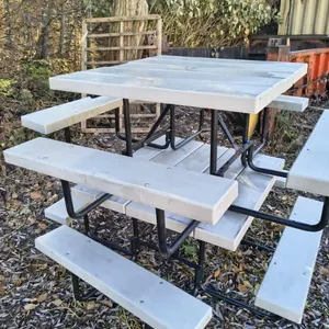 (2) Picnic Tables
