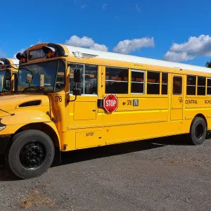 2020 IC CE Series School Bus/376
