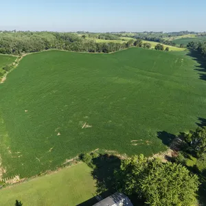Tract 1: 40.625+/- Acres Of Cropland