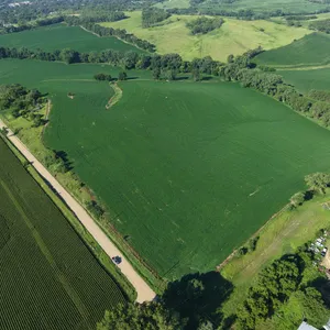 Tract 2: 60.693+/- Acres Of Cropland
