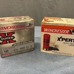 Winchester 22ga shotgun shells
