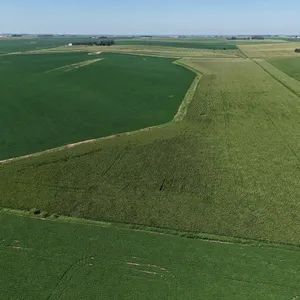 Tract 1 Gross Acres: 80.25+/-