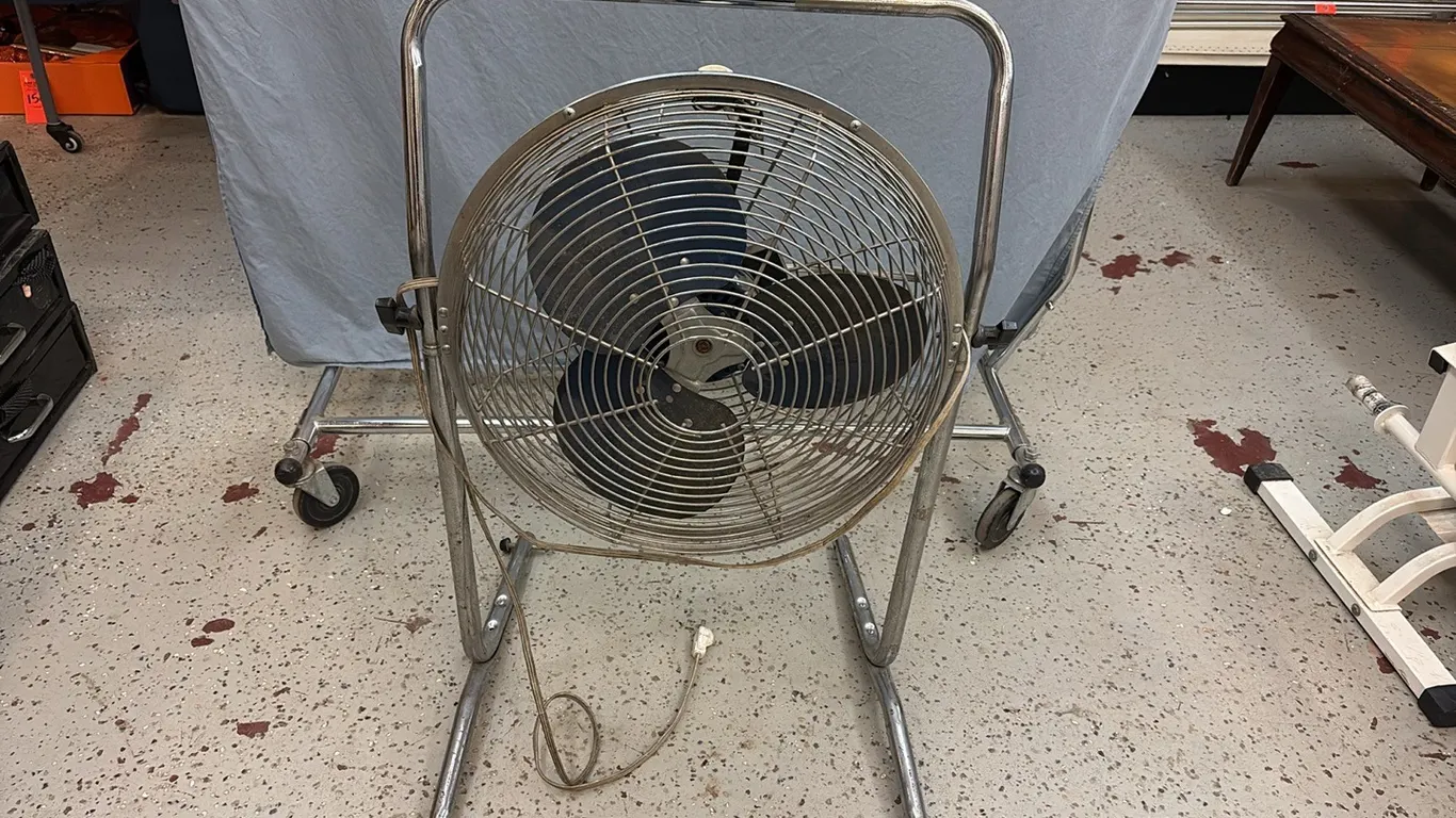 Fan