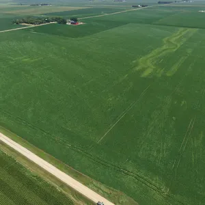 Tract 1 Gross Acres: 81.04+/-