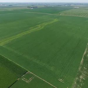 Tract 3 Gross Acres: 66.39+/-