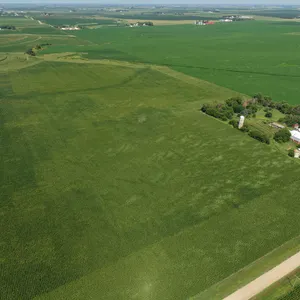 Tract 2: 55.48+/- gross acres