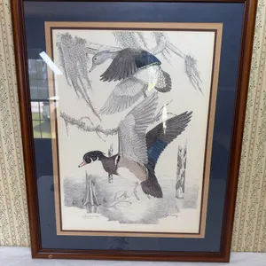Gene Murray "Winging In" Wood Duck Lithograph