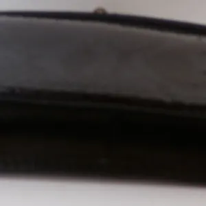 New Fossil Simply Snake Frame Kiss Clasp Coin Purse.