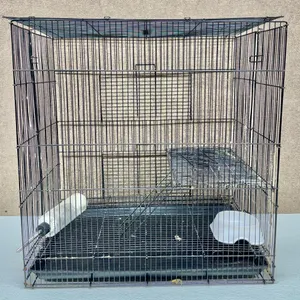 Wire Guinea Pig Cage With Feeder & Bottle