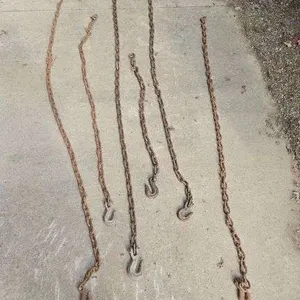 (6) single hook chains- longest is 5.5'