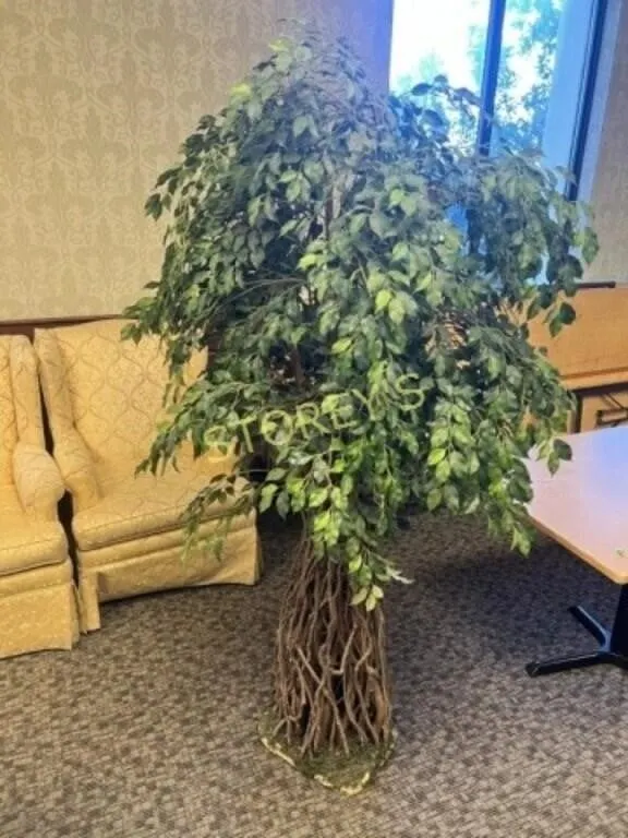Faux Plant / Tree - CHECK