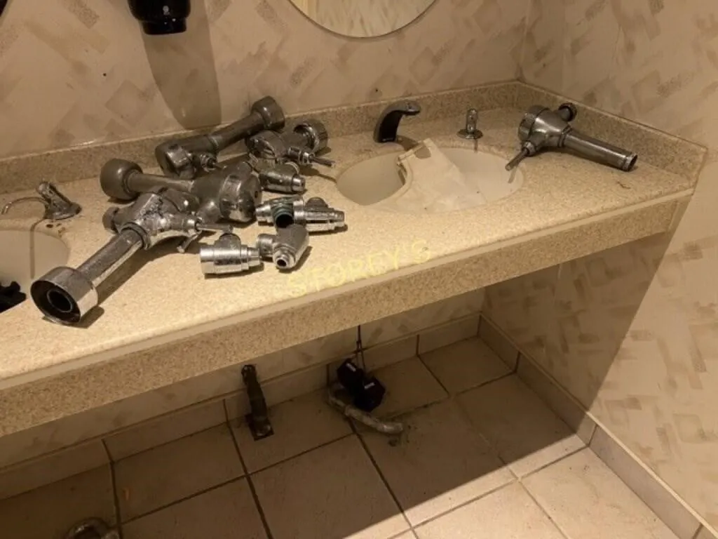 Asst Chrome Flushers, Etc.