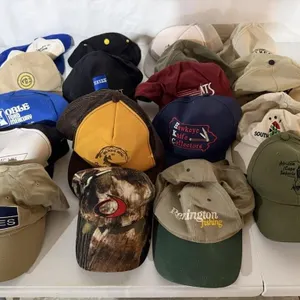 Baseball cap collection (15+)