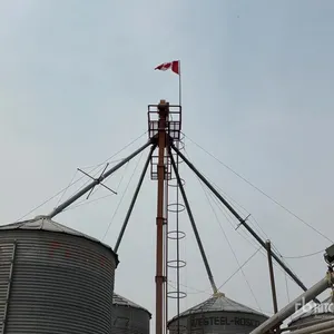 Cardinal 50 ft Grain Leg
