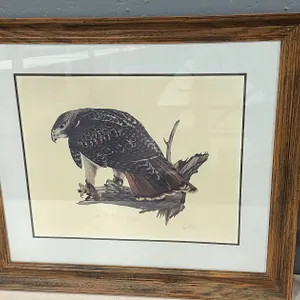Dan DeKoch Hawk Framed Print (T4)