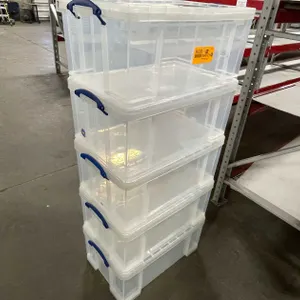 Large Clear Totes (T4)