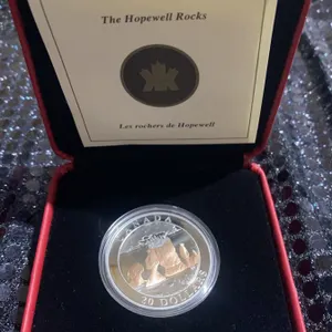 2004 Canada $20 Silver Coin Hopewell Rocks 31.39g 99.99% Proof Gold-Plated
