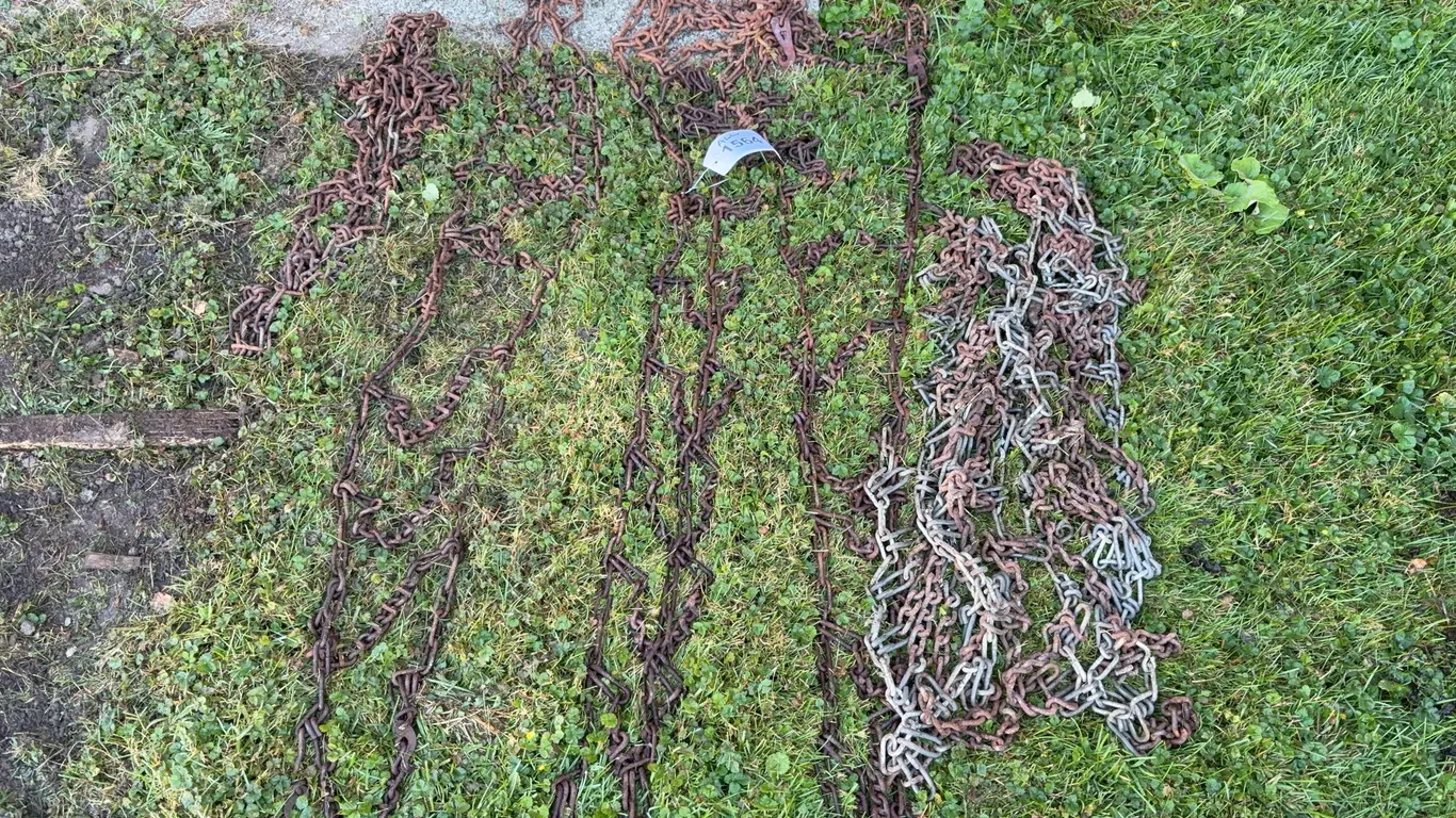 Rusted Steel Logging Chains