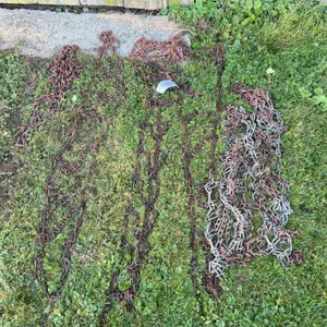 Rusted Steel Logging Chains