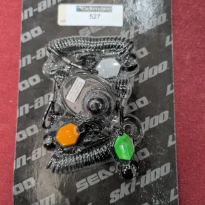LYNX DIGITALLY ENCODED SECURITY SYSTEM