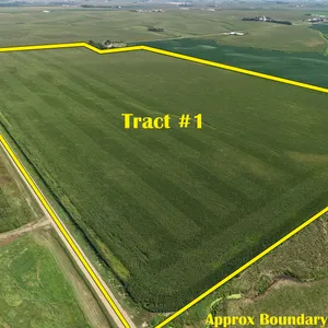 Tract 1: 85.51+/- Acres