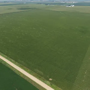 Tract 1: 80+/- gross acres