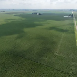 Tract 2: 66.25+/- gross acres
