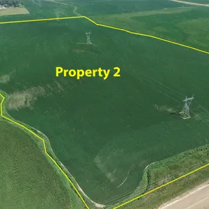 Tract 2: 86.44+/- gross acres