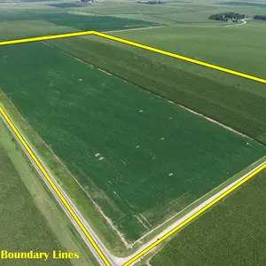 60+/- Acres Of Farmland Located In Floyd TWP, Sioux County, IA