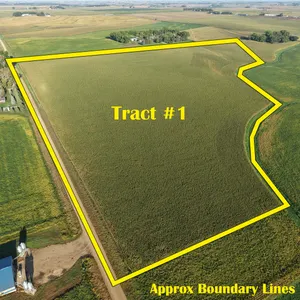 Tract 1: 53.81+/- Acres