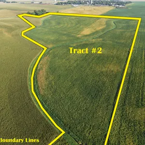 Tract 2: 62.03+/- Acres