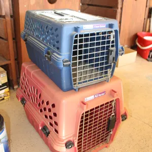 Petmate Pet Carriers