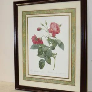 Botanical Rose Print