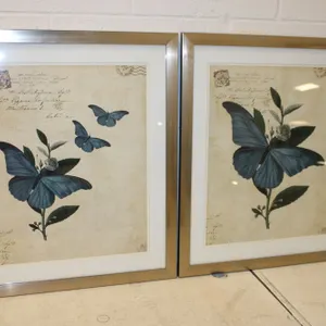 Butterfly Botanical Prints