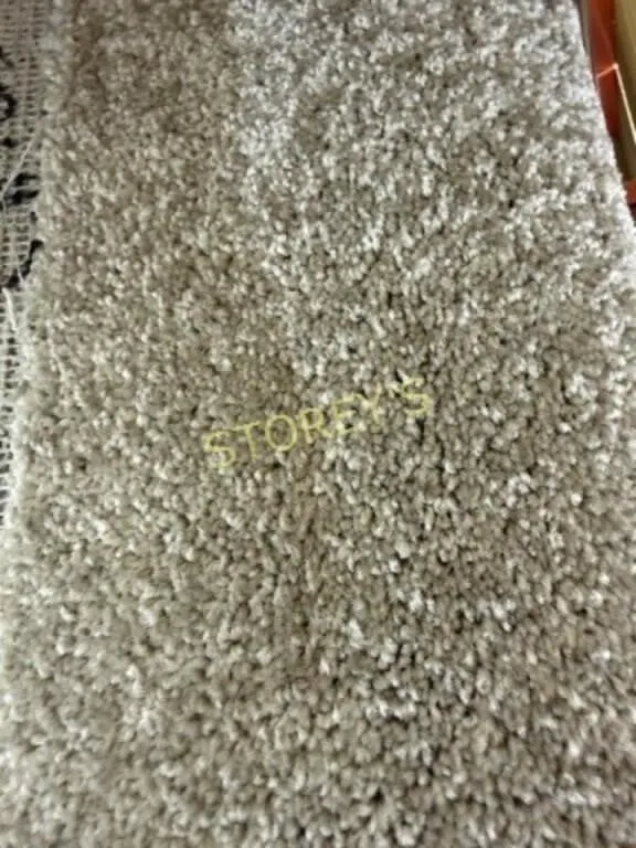 Rustic Beige Carpet Roll ~9'5 x 12'