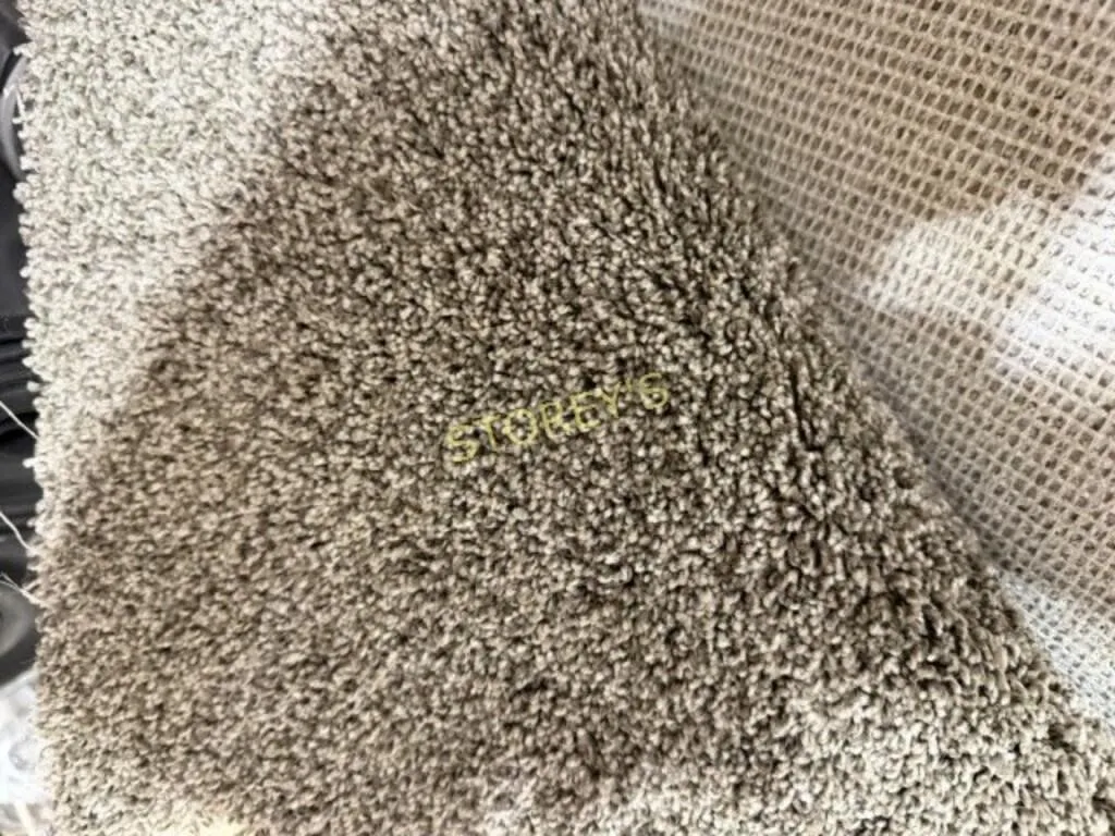 Scenic Grey Carpet Roll ~18'9 x 12'