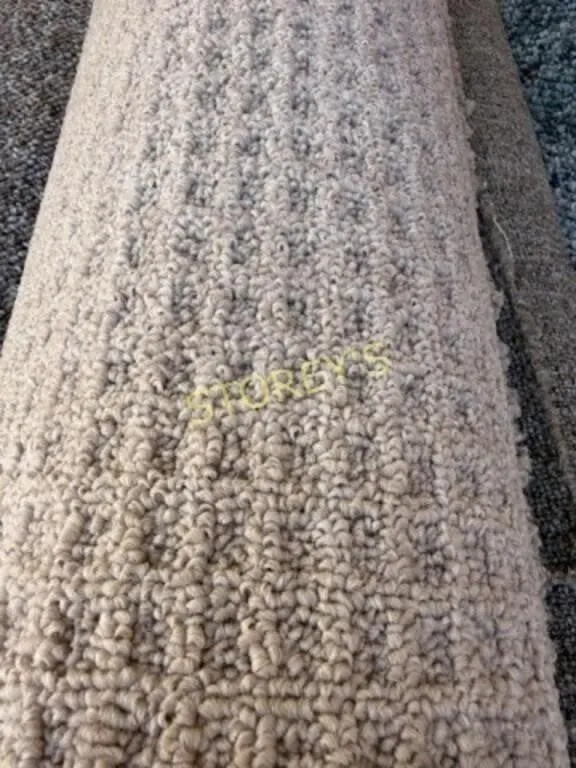 Light Taupe Carpet Roll ~' x 12'