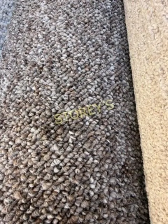 Rusty Mix Carpet Roll ~10' x 12'
