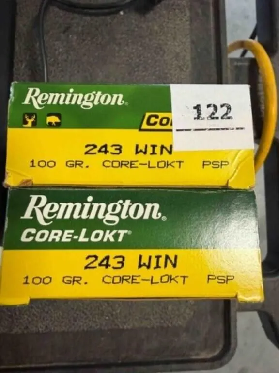 Remington 243 ammo