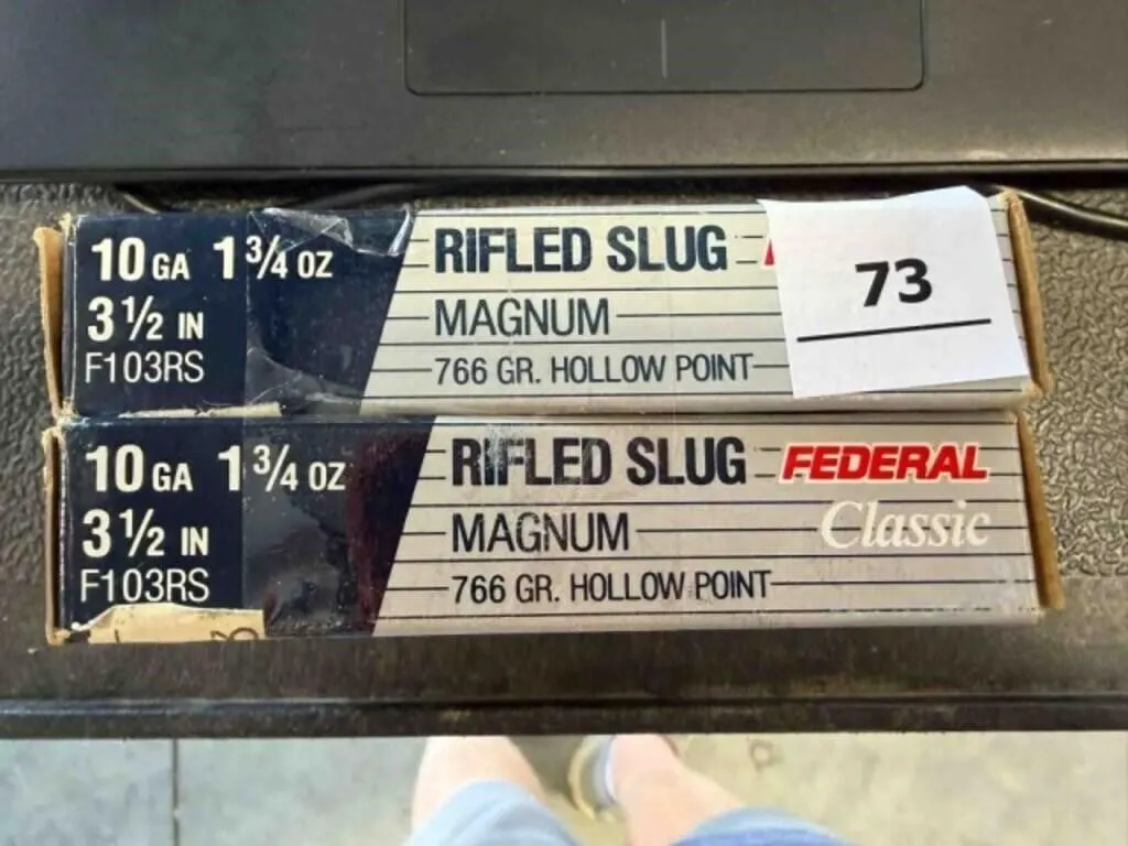 10ga ammo