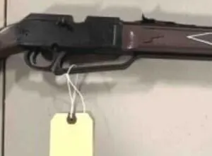 Daisy BB Rifle