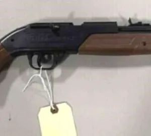 Pump master BB Rifle