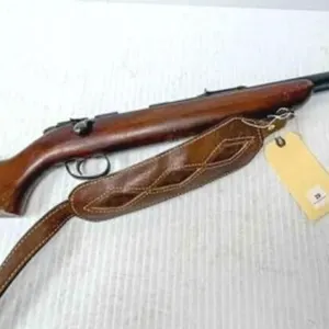 22S L LR Remington Rifle