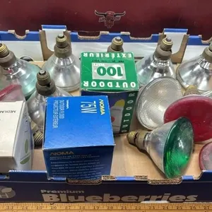Tray of Asst. Bulbs - Heat, Flood Lights, Etc.